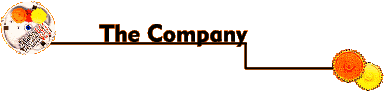 A.M.C. STAMPI: The Company